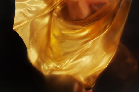 Der goldene Umhang XIV