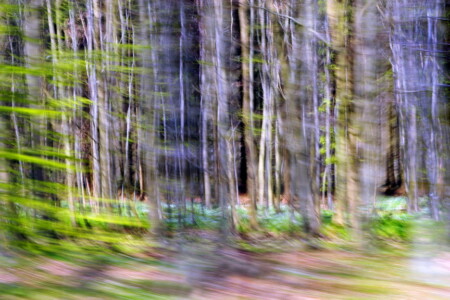 Immer in Eile ans Ziel I