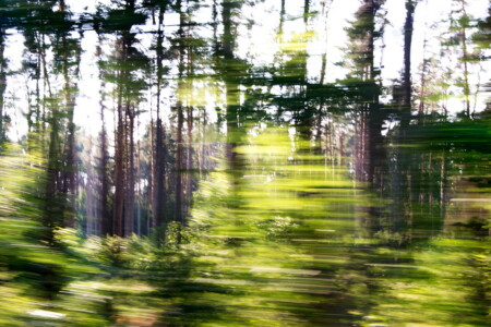 und sie bewegt sich doch