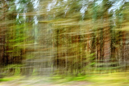 Exponentielle Beschleunigung I