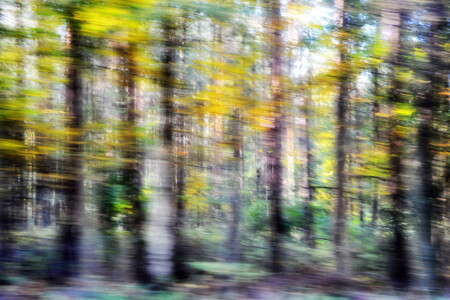 Phantastische Reise III