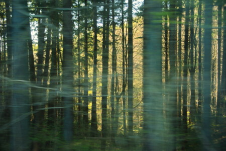 ..und hinter dem Vorhang