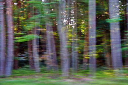 Die Geister die ich rief