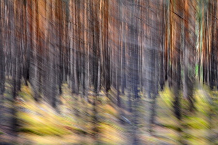 Wächter der Zeit II