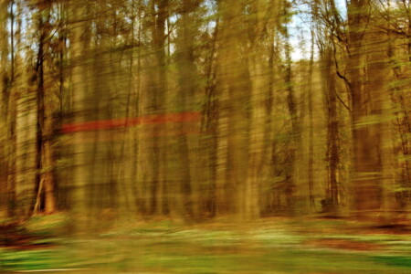 Wirklichkeit und Traum I