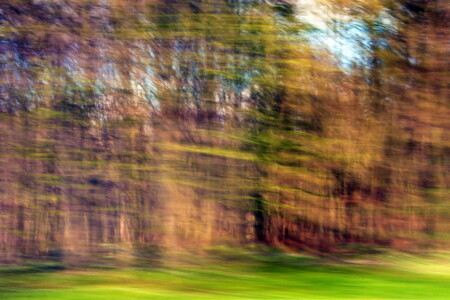 Wirklichkeit und Traum II