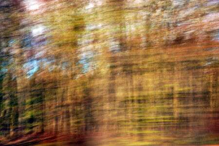 Wirklichkeit und Traum III