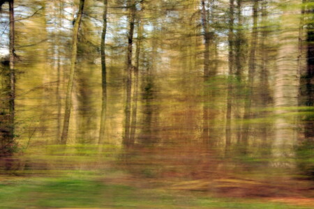 Wirklichkeit und Traum IV