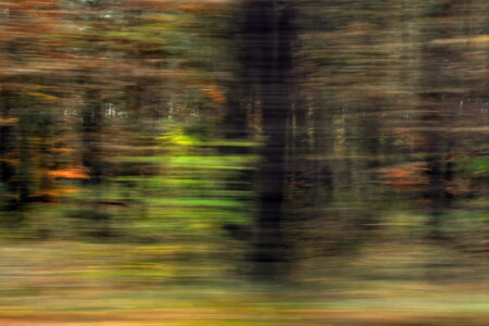 Der Moment des Erwachens