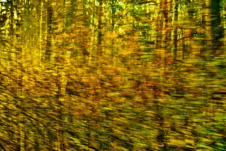 Flug durch die Zeit I