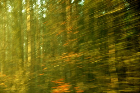 Flug durch die Zeit II