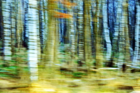 Russische Märchen I