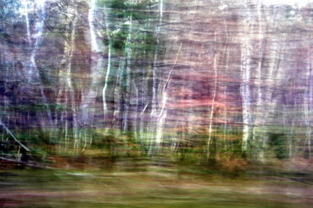 Russische Märchen II