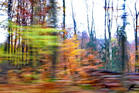 Schnell kommt der Herbst