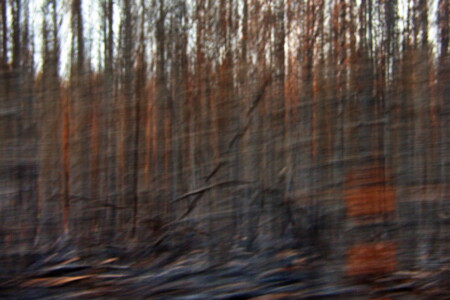 Die alte Sehnsucht nach einem besseren Ort III