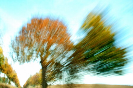 Zwischen Liebe und Zorn