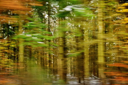 Die Flüchtigkeit des Seins